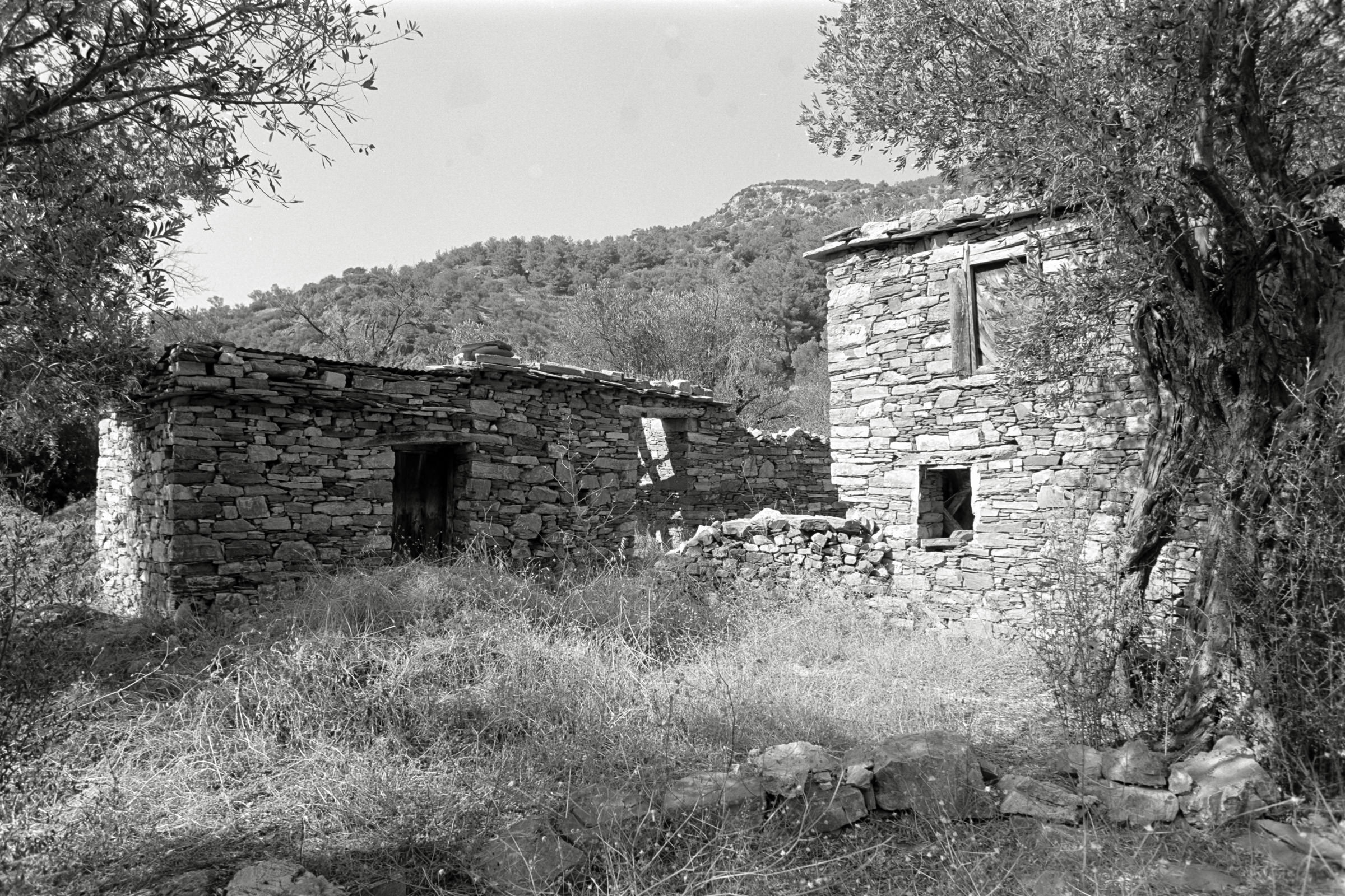 AHP F1991 09 003 sc240914 img19 NLP